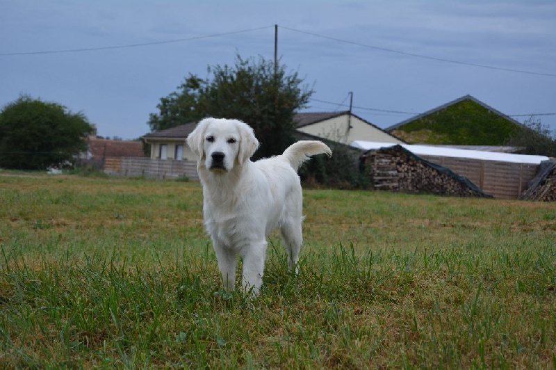 Marley bob du Clos des Facons